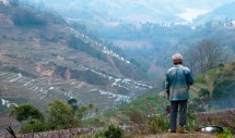 Title: A Hani farmer admires the rice terraces of Zuofu, Yunnan, China, February 2, 2011 Caption: The Village of Zuofu is affiliated with the Jiayin Township of Honghe County, an area shared between the Hani and the Yi peoples. The Ailao Mountain where the village is situated has an elevation of 1830 meters, with a sub-tropical humid climate that favors the culture or rice using the centennial rice paddies that embellish the mountains. The paddies are also used to raise fish and grow palm trees. One of the major threats to the circa 1,500 villagers is the internal migration fueled by the poverty of these remote areas. Every year, about 600 villagers, generally male, seek temporary work in the surrounding provinces. The Hani people have an average annual income of around 1,500 RMB