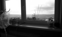 Title: The Last Garden of Mr. Popa Caption: Mr. Popa was a 53 year-old living in a Romanian tuberculosis sanatorium. He was a man with a passion for electronics and flowers. When I took this picture he could only lie in bed, breathing with a machine. Joy in his world was this windowsill garden, where flowers and a pepper plant sprouted in plastic containers. We bonded over family and gardens that we miss, far away at our homes; he showed me pictures of what his flowers would look like in bloom. Mr. Popa spent his last days alone with his harvest; he wondered who would care for his little garden? I sat with him months later as he was dying. His flowers had withered. He cried angry tears, and waited for a son who never arrived.