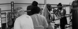 Trainers evaluating boxers as they spar