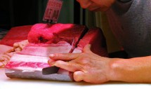 Title: Precision Caption: A salesman of Osaka open air market carefully slices a cut of fresh tuna. A very delicate but large type of fish meat the cut must be made with exacting precision and deftness. This slices of tuna with find their way to local sushi bars and homes.