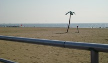 Title: palm tree in Coney Island, NY, USA Caption: Coney Island has a tradition of being the place of leisure in New York City. This photo shows a classic beach scene of tourism imagery: sand, ocean, palm tree. The metal nature of the tree reflects that this tourist idyll is a constructed paradise....and of course, this is not an island in the Caribbean but an urban beach.