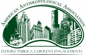 2013 Annual Meeting Logo