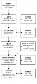 if-Marion_Crowder feb13 AN-workflow-Figure 1