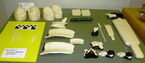 Artifact replicas made in the 3D printer. Photo courtesy E C Sills
