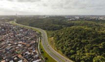Marta Magalhaes_avenida Luis EM_FEATURE