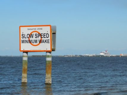 A ign that says "Slow Speed Minimum Waker" rises up over the surface of a body of water.