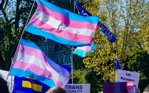 Two Transgender Rights flags fly above a crowd of demonstrators
