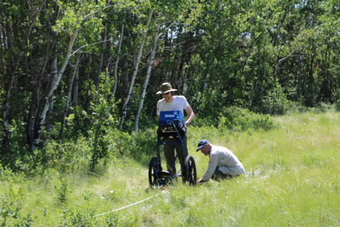 Author using sensing equipment on the forested edge of a meadow.