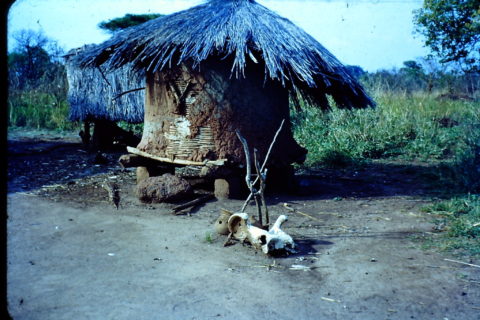 A shrine that appears to be made of earth and with walls on four sides, sits at a fork in the road and has a straw roof.
