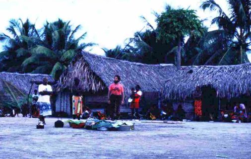 Palm trees and a thatched structure are in the background with a small group of people, including Rick Feinberg, in the foreground.