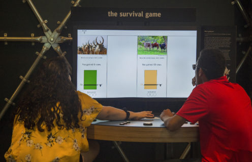 Two young people sit before a large screen, playing the survival game.