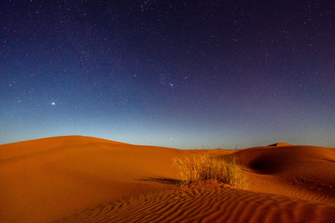 Warm-colored sand dunes glow beneath a starry sky
