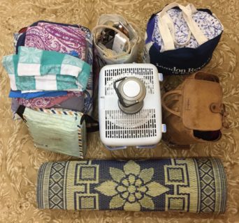 The contents of the bag are laid out on a carpeted floor. The items in the image are described below.