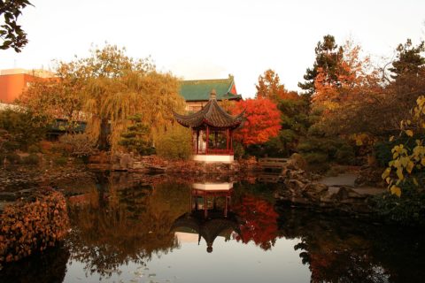 A photo of a view out over a pond. A pagoda is at the other side of the pond surrounded by trees with orange, yellow, and green leaves.
