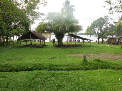 A photo of an outdoor scene with green grass and trees with two wooden open air structures visible.