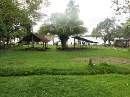 A photo of an outdoor scene with green grass and trees with two wooden open air structures visible.