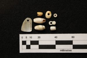 Selected shell ornaments with perforations from Room 62 at Salmon Pueblo, scale is in millimeters
