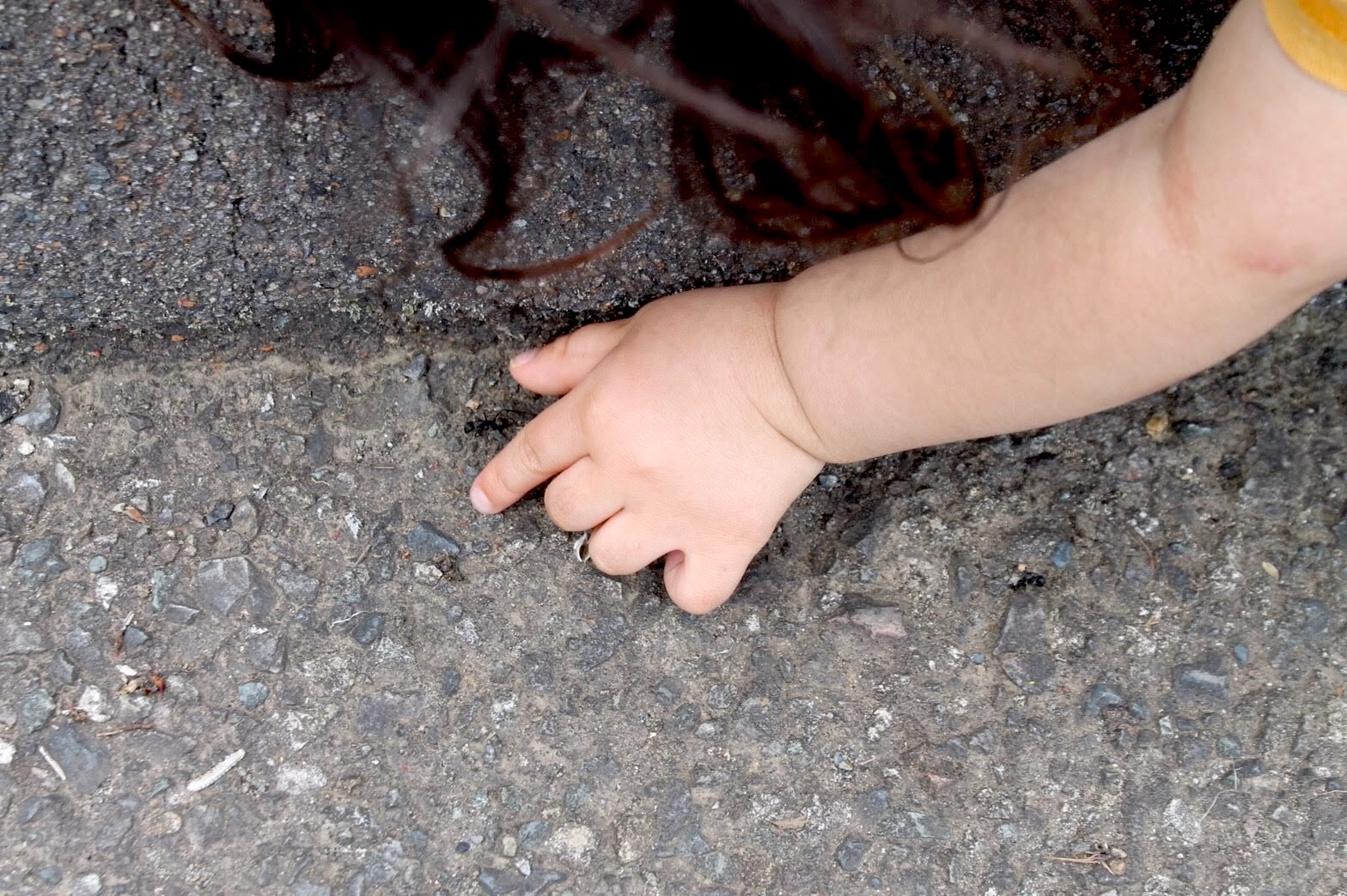 Photograph of a child trying to catch an ant.