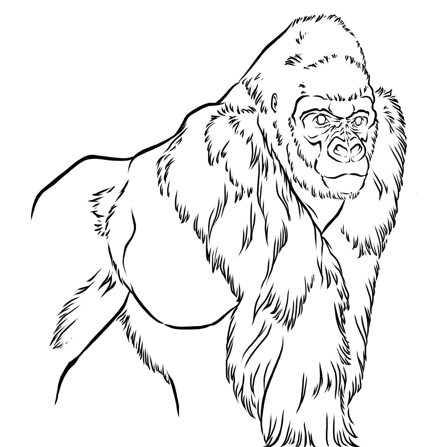 Coloring for Anthropologists | Anthropology News