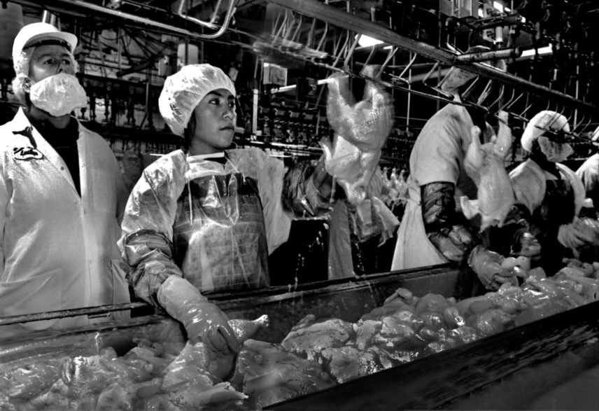 Black and white photo of workers on a poultry processing line.