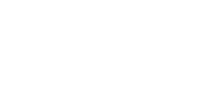 American Anthropological Association