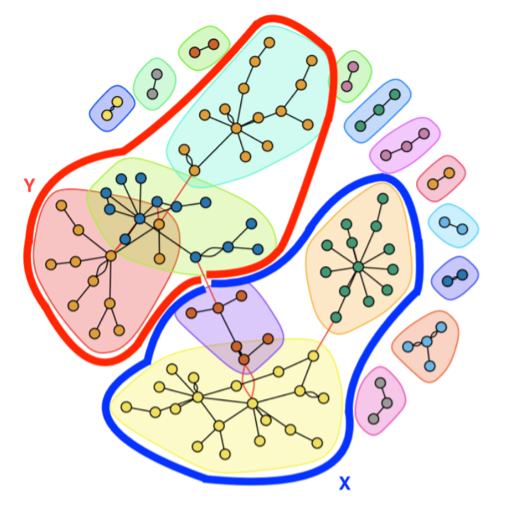 Network plot