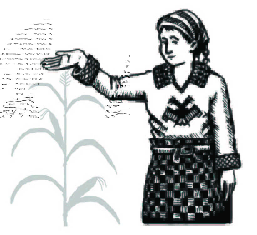 Illustration of a person standing beside a plant