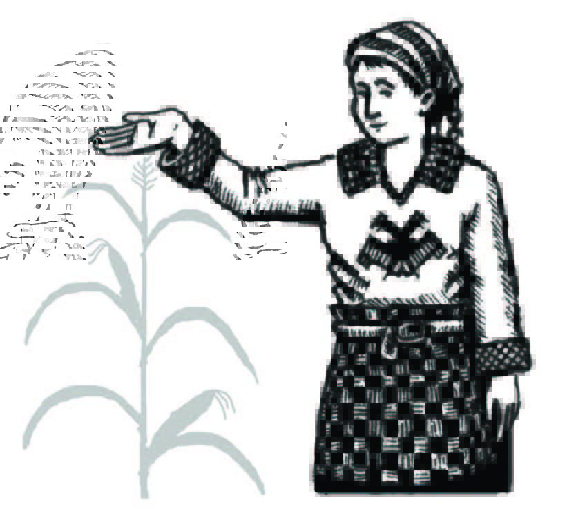Illustration of a person standing beside a plant