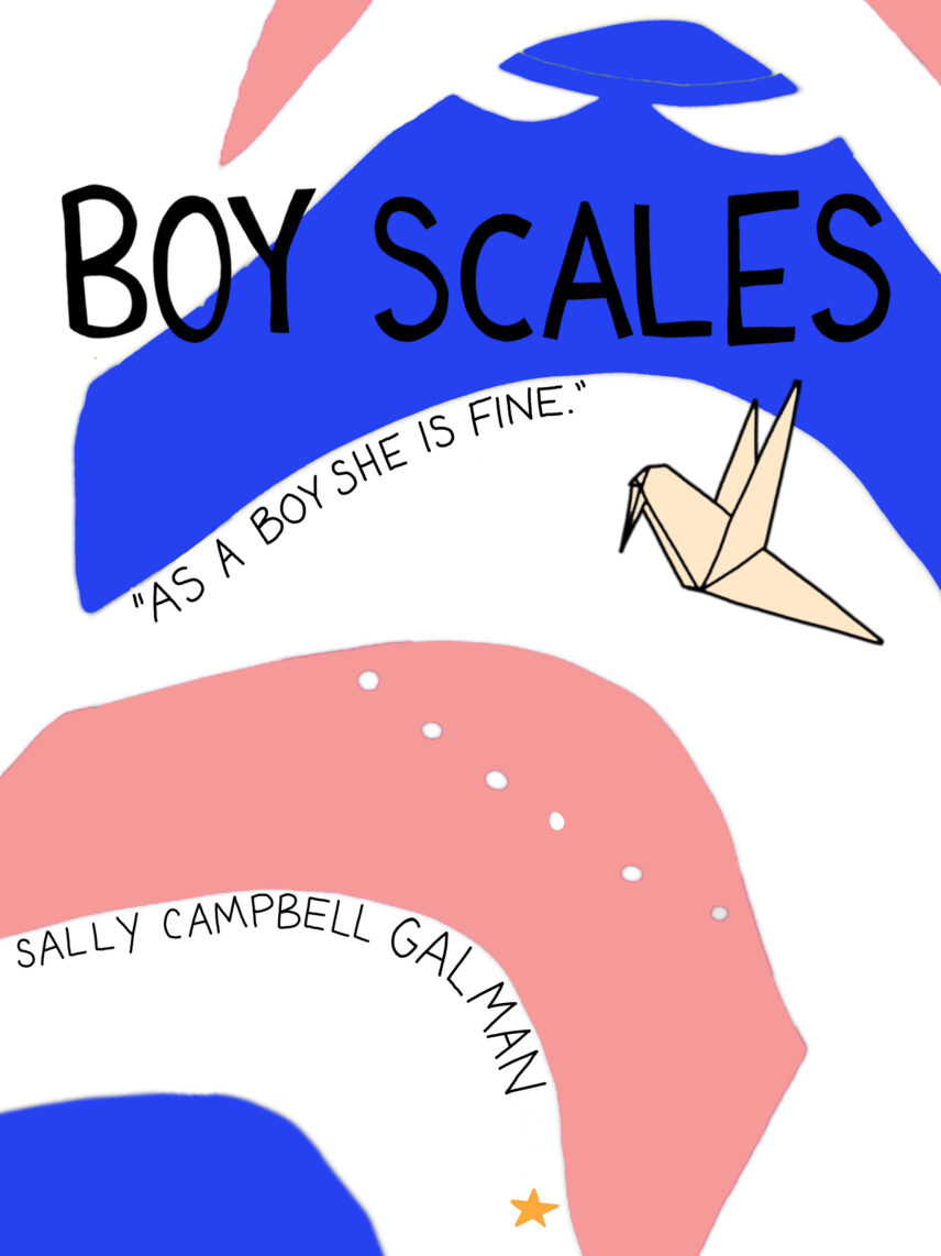 Illustrated booklet cover