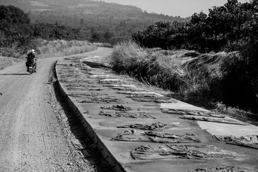 Photograph of the concrete portion of the new road being kept wet with burlap sacks.