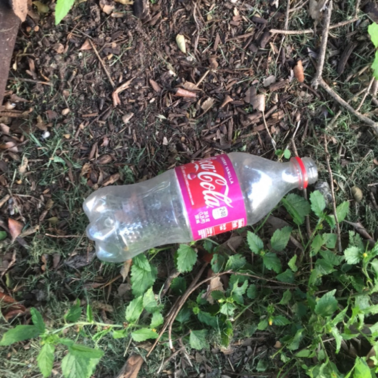 Photograph of an empty plastic bottle outdoors