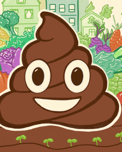 Illustration of a poop emoji in a garden