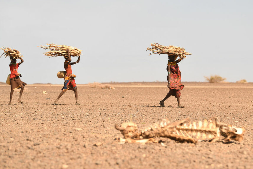 Photograph of three women walking and carrying bundles of wood
