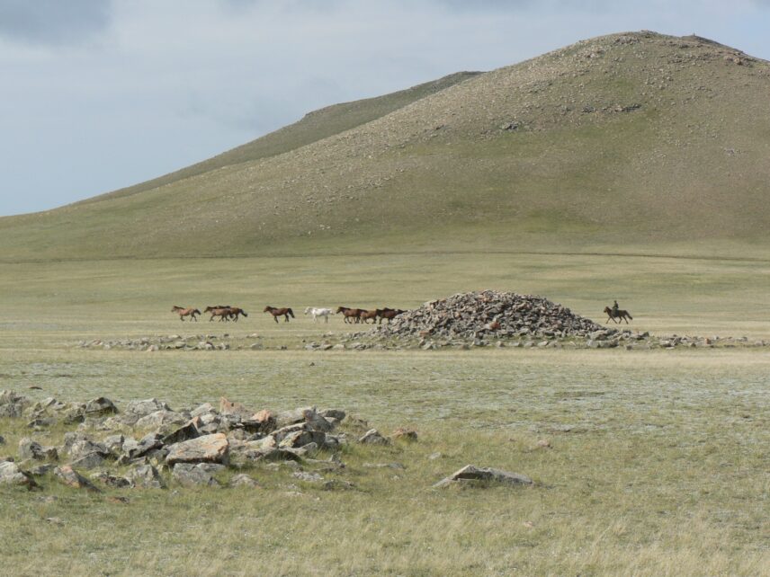 Photograph of horses running across a field