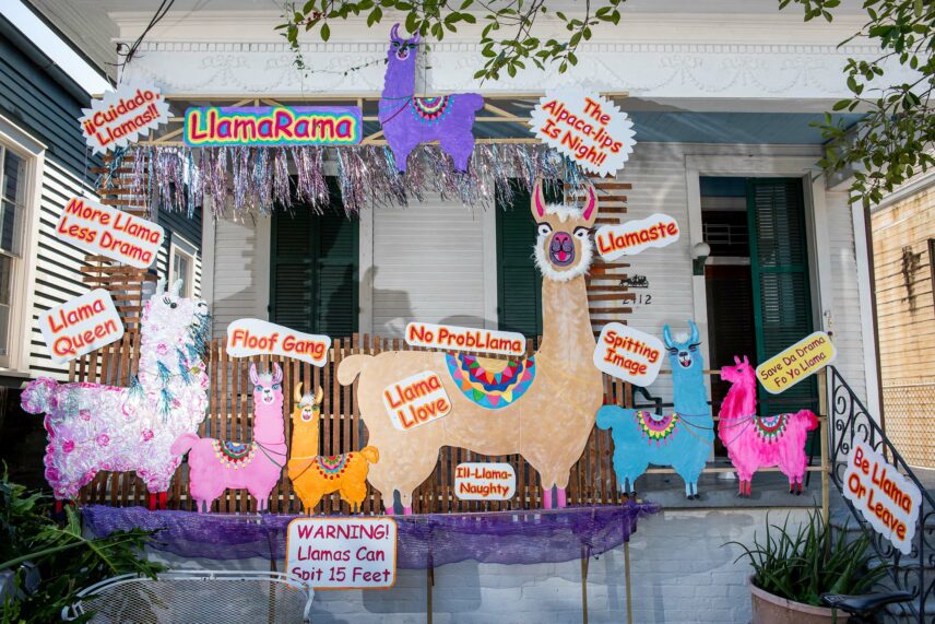 Photo of a porch covered in llama-themed decorations