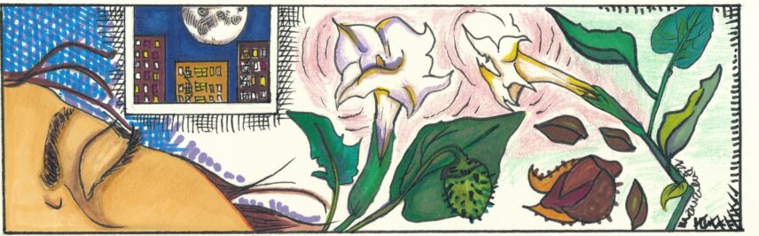 Illustration of plants blooming and part of a person's face