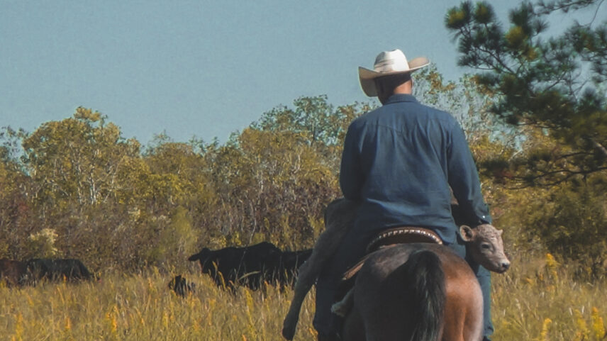 Photograph of a man on horseback heading toward a tree line