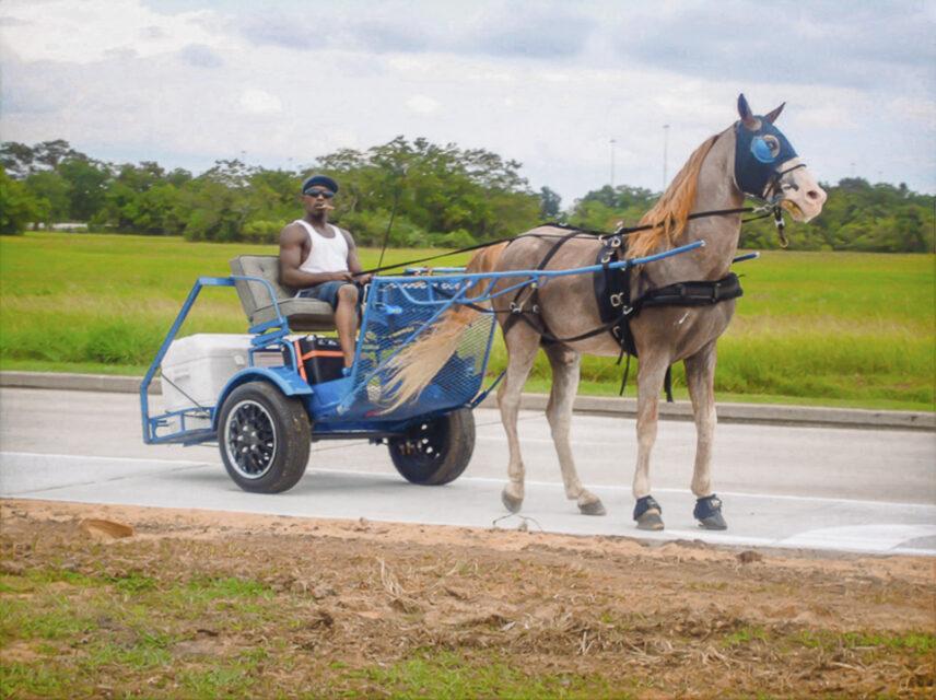 Photograph of a horse pulling a blue wagon with a person sitting in it