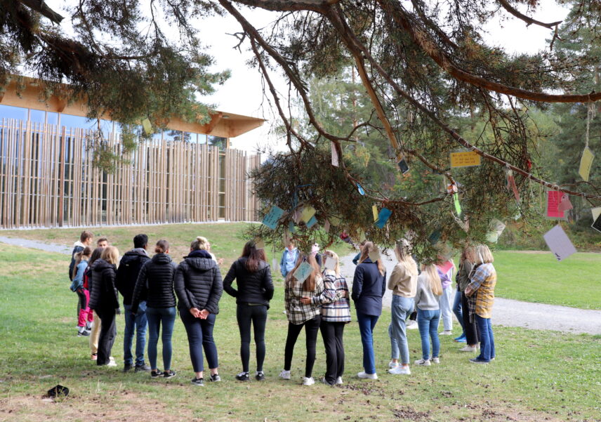 Photograph of The Value Tree, with folk high school students circled in front of the Safehouse beyond it.