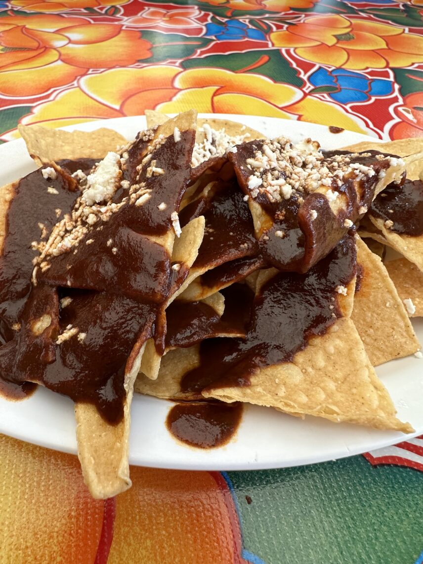 This is a plate of golden corn tortilla chips topped by both a brown mole sauce, made primarily from chocolate, nuts and other assorted herbs and spices, and quesco fresco, or sprinkled hard cheese