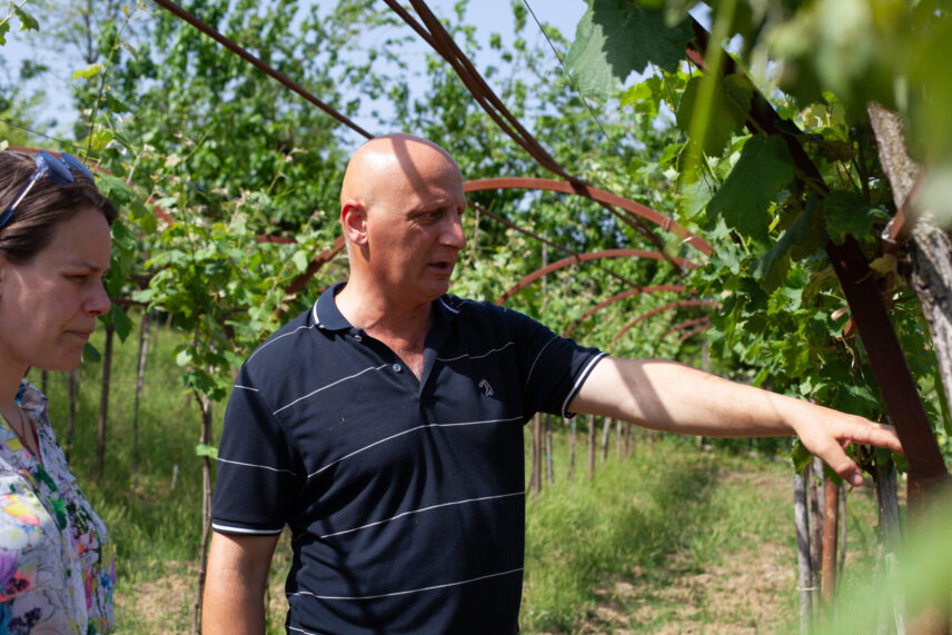 Two people discuss the vines and grapes in western Georgia.
