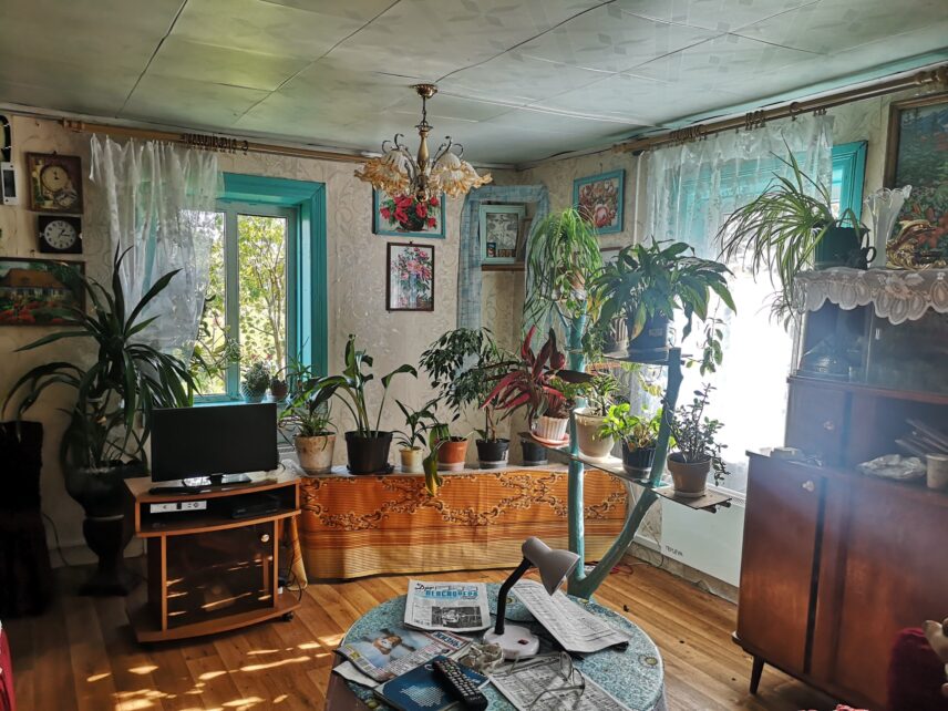 Zina's indoor plants