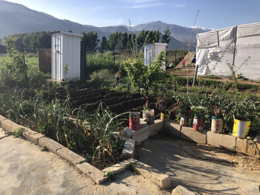 A small plot of furrowed soil sits next to a makeshift patio made of concrete. Various vegetables, herbs, and flowers planted in repurposed tin cans line the perimeter. Two corrugated iron outhouses are situated behind the garden, and a large tarpaulin tent is visible on the right. The camp is surrounded by a row of lush trees and rolling verdant hills in the background.