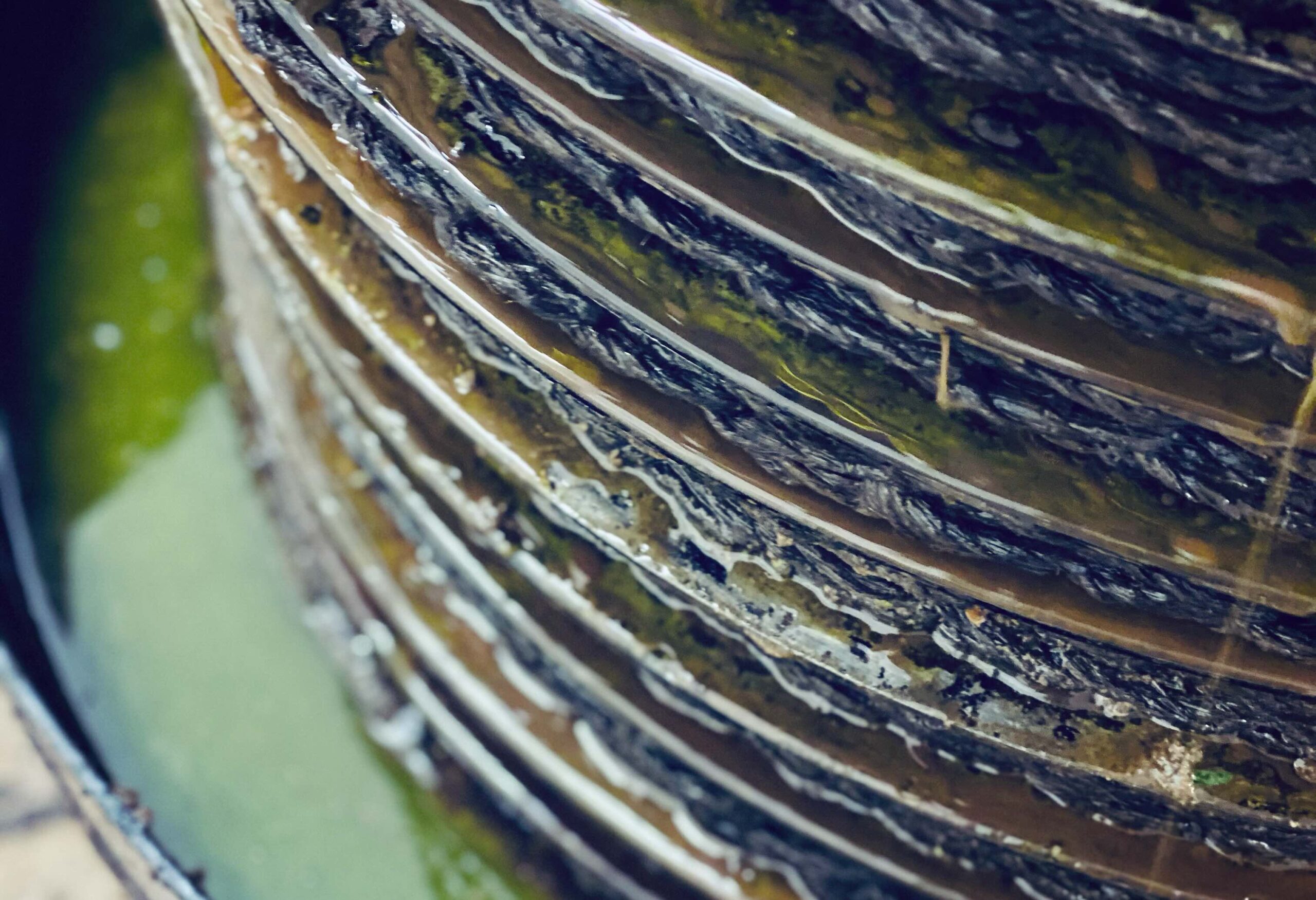 Stacked pressing mats and iron weights extracting olive oil in a traditional mill.
