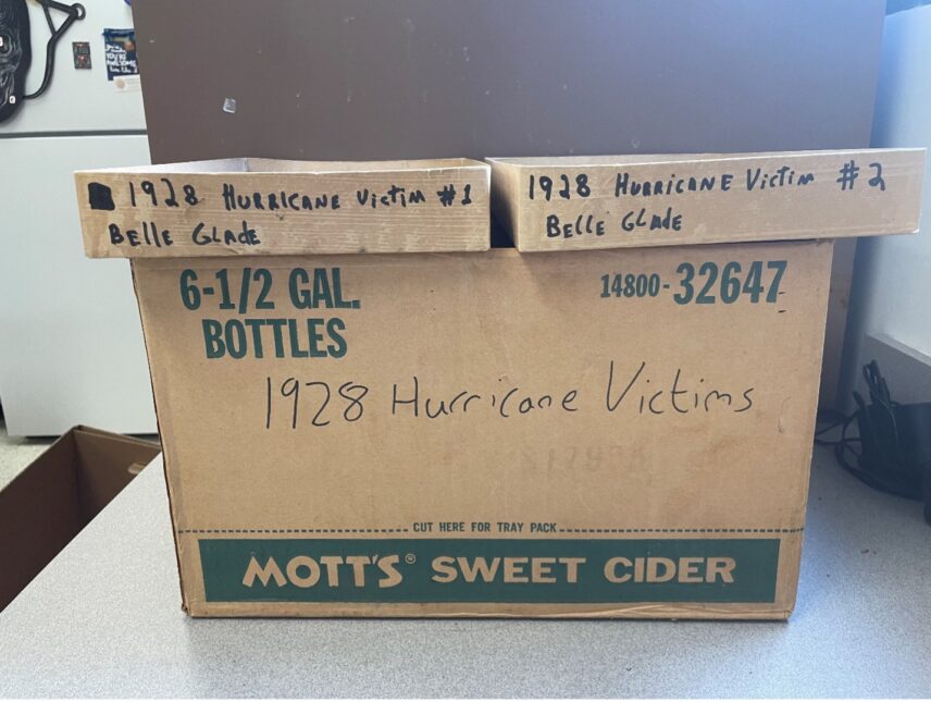 The storage box that contains the two sets of skeletal remains.