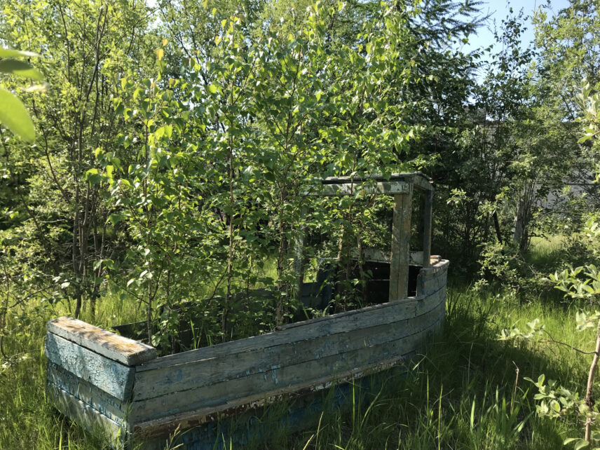 A kindergarten playground overgrown with birch saplings (Seymchan, Magadan Oblast, July 2023).