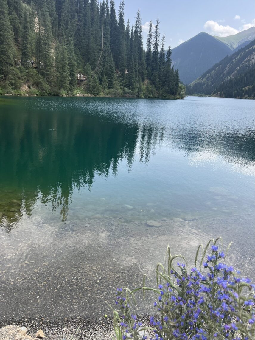 The photo is taken near the shore. In the foreground there are blue flowers near the shallow end of the lake. The lake has a sparkling surface with the reflection of trees and mountains in the background. On the left hand side in the background are fir trees and on the right hand side are mountains with fir trees.