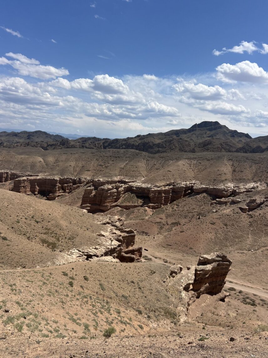 The photo is the view of a dry brown canyon from above the top edge of the canyon. There are some small green shrubbery in the foreground. In the foreground is the canyon's edge. Then there is the canyon down below. In the background are further sections of canyon. The sky is blue with fluffy clouds.
