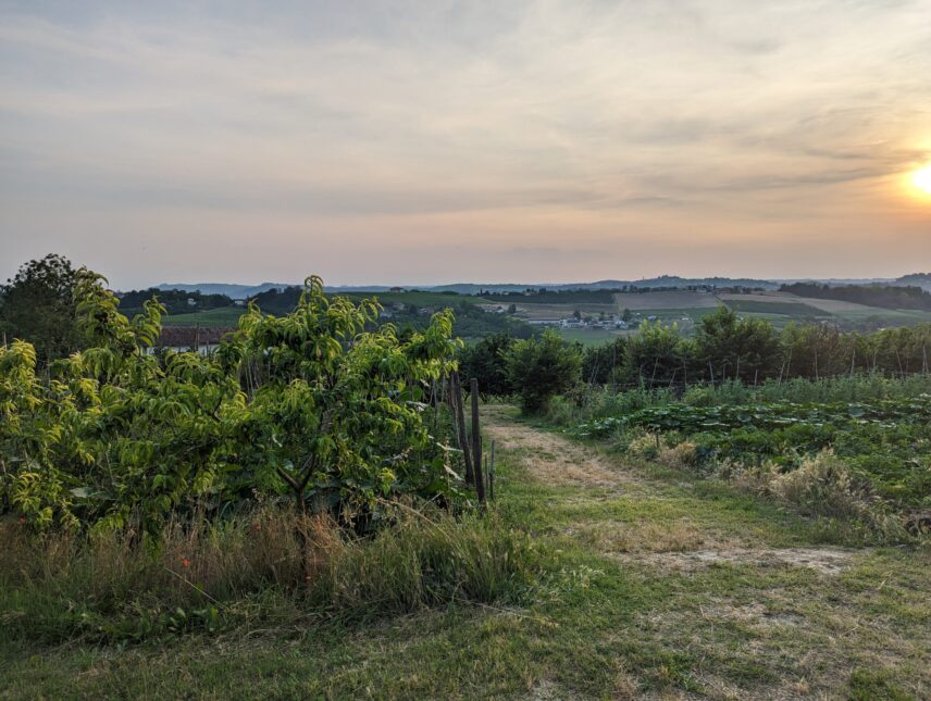 Image of a similar small horticultural site in Northern Italy