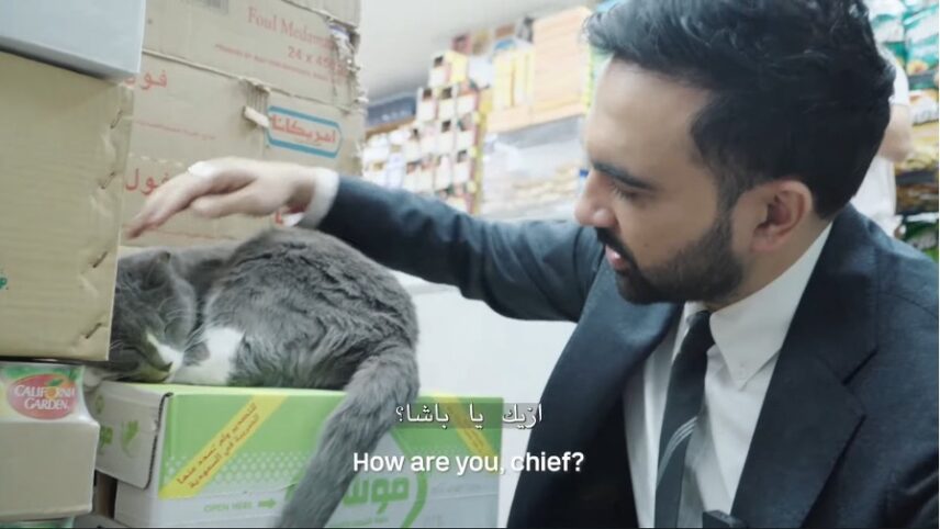 Zohran Mamdani, a man in his thirties with black hair, a mustache, and small beard is kneeling in front of a pile of boxes at a New York City bodega. He is wearing a black suit, white shirt, and black tie and petting a sleeping grey and white cat.